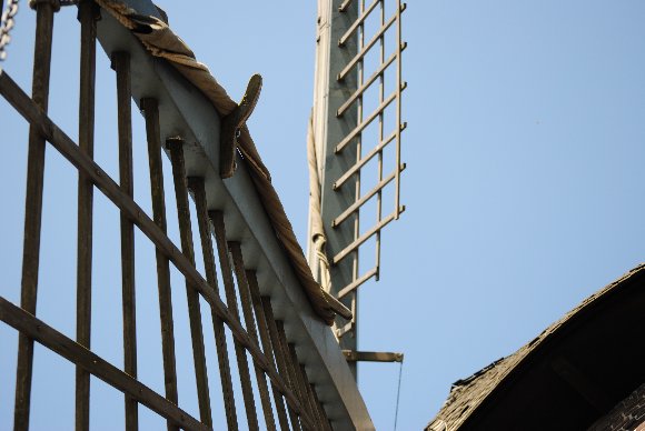 Flgel oder Ruten
